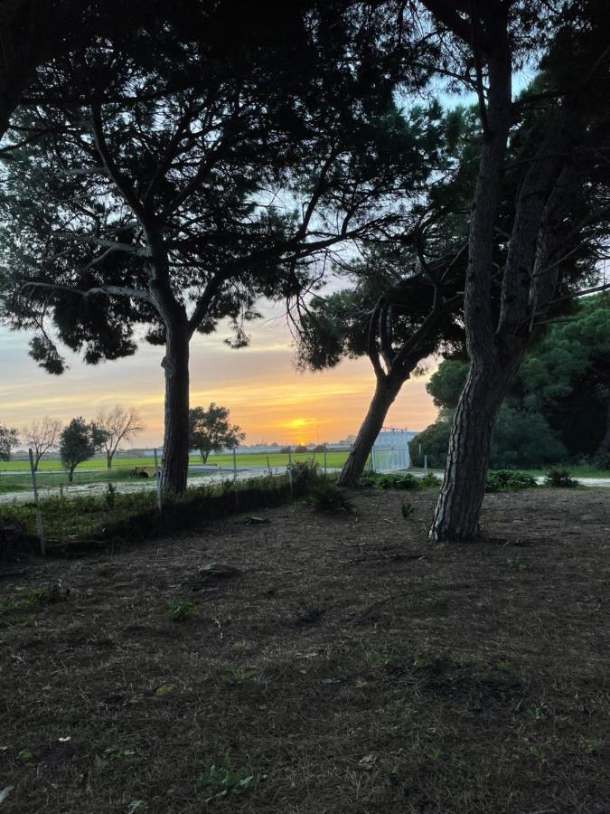 פוארטו ריאל Casa Rural Vacacional מראה חיצוני תמונה